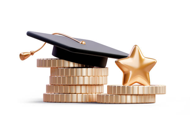 Top Business Schools Offering MIM Scholarships in France